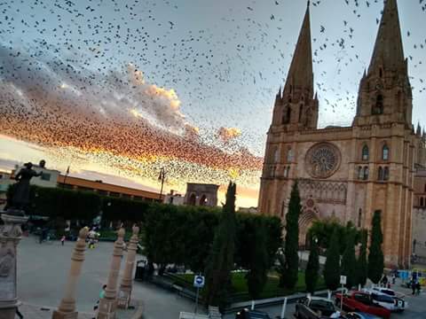 Jonatha03437223's tweet photo. Arandas jalisco k chulo es https://t.co/3DZMm3gKGX