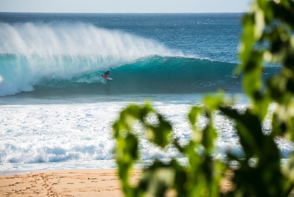 Catch a Wave 🌊🌊
