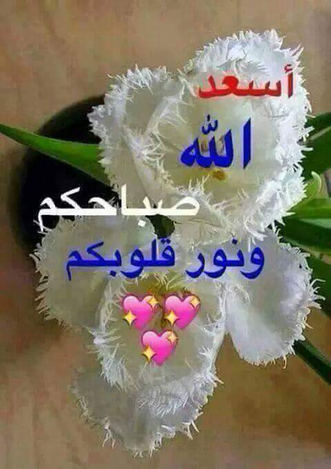 أشواق احمد (@pomo315) on Twitter photo 