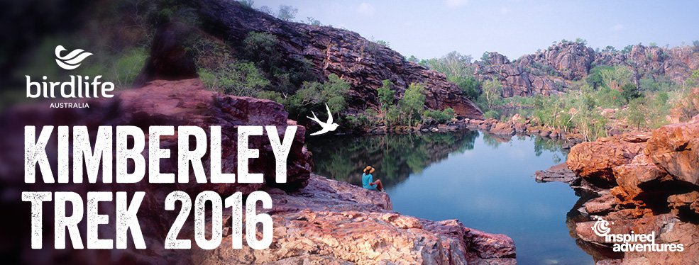 JustGiving APAC tweet media