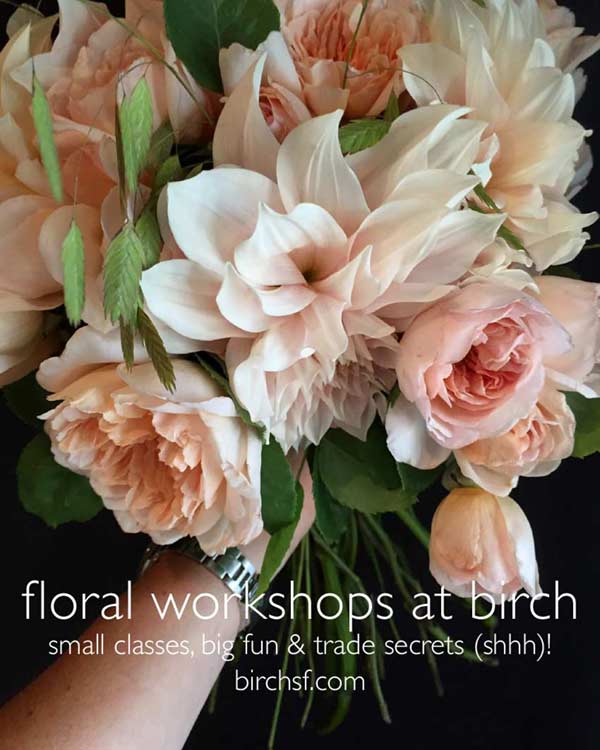 birchsf's tweet photo. Spring Workshops! Small classes, music and refreshments—take home your creations! 3/16, 3/23, and 4/20 7-9 $200. https://t.co/8L2tC0yHoB