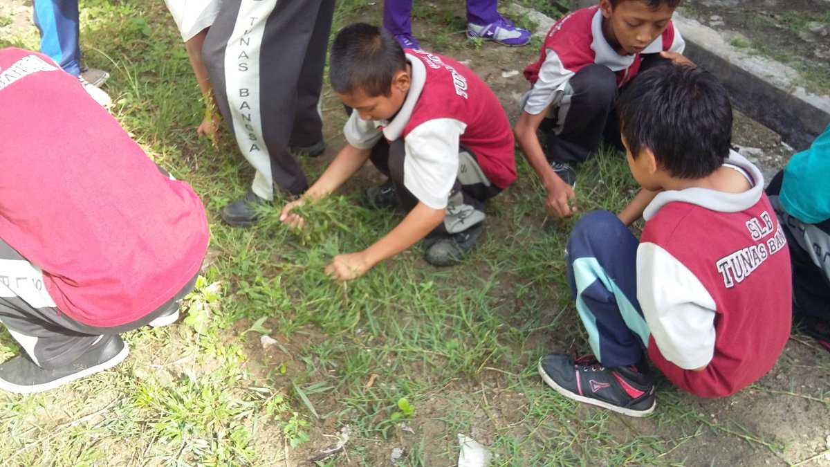 SLBTunasBangsa's tweet photo. Sekolah bersih anak2 nyaman belajar di sekolah....semangat😀😀 https://t.co/n48KSQmhTI
