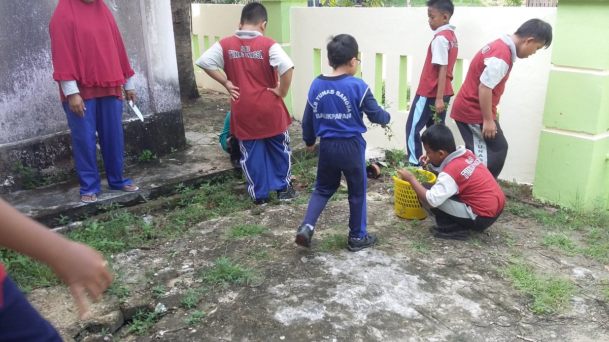 SLBTunasBangsa's tweet photo. Sekolah bersih anak2 nyaman belajar di sekolah....semangat😀😀 https://t.co/n48KSQmhTI