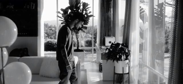 Rosemalikxx's tweet photo. My babe is so hot @zaynmalik https://t.co/DuThjaFVvM