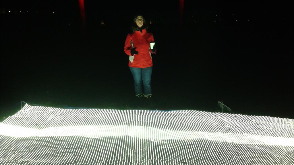 P. David Ziolkowski tweet media