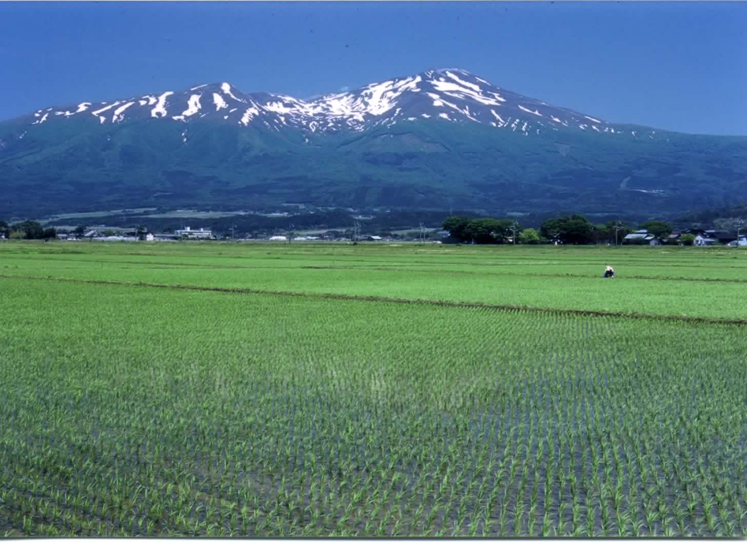 田園風景」 by 山田太郎｜アート・絵画の販売(通販)サイト