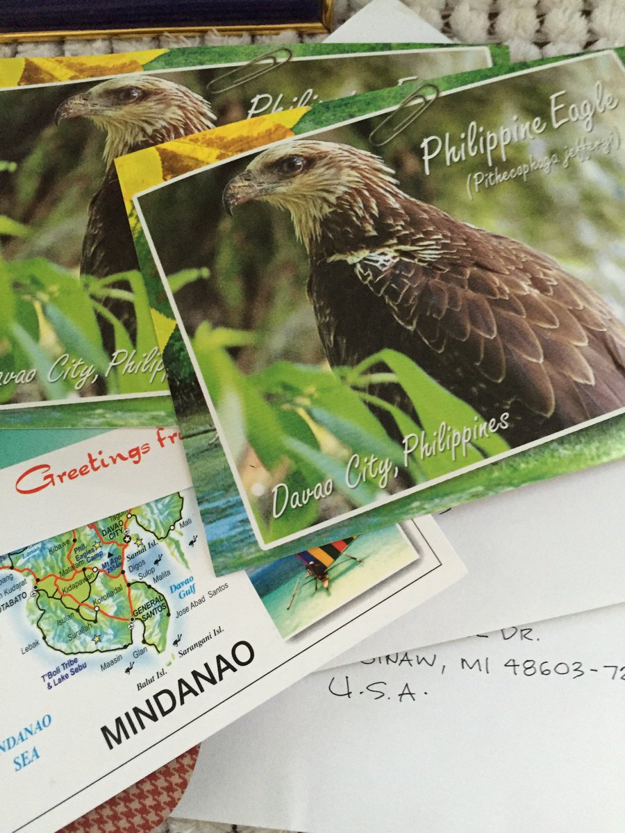 altadc's tweet photo. Mailing the last batch for February #monthofletters #postcrossing ๐ต๐ญ๐ฉ๐ฎ๐ช https://t.co/z8AnDRQL3v https://t.co/UJhBMQLUpI