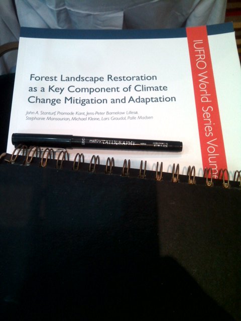 nadinesoinlove's tweet photo. "Forest Landscape Restoration and Land Degradation Neutrality in Asia" is about to start! #Stream5 #APFW2016 https://t.co/XGRQP8Ec2V