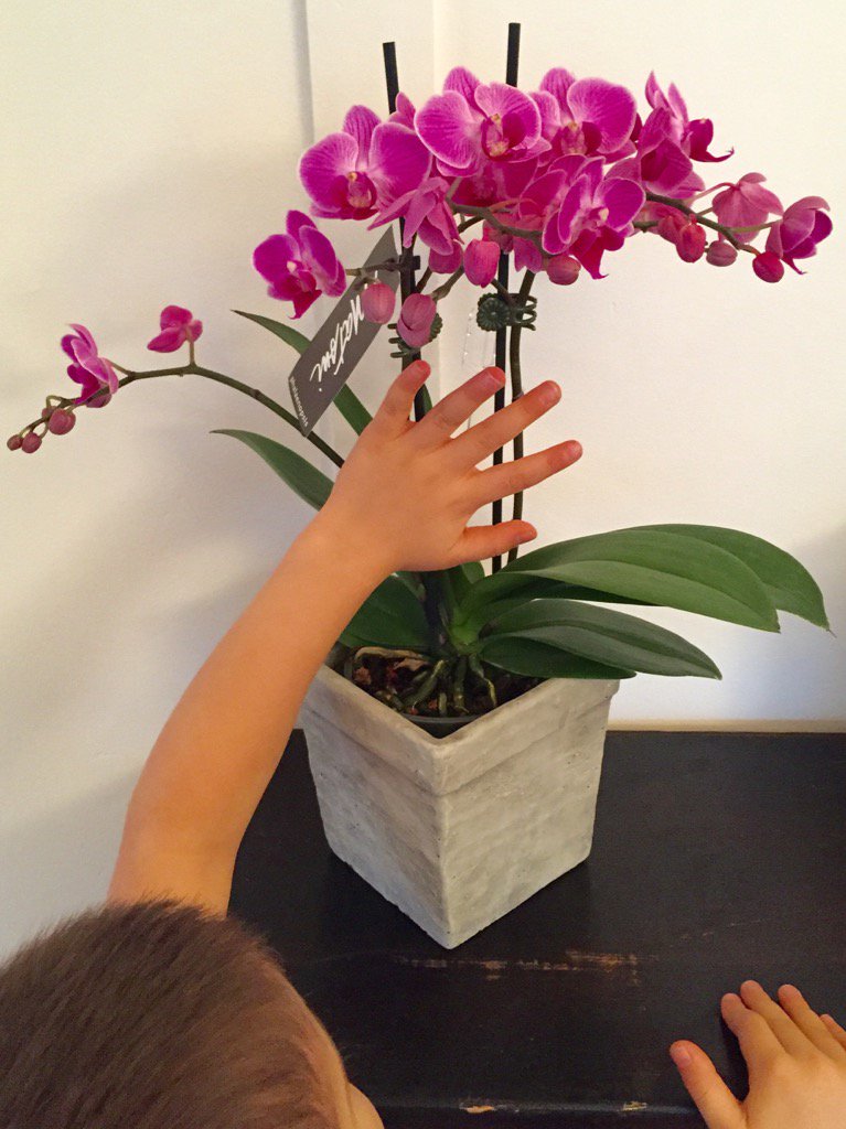 What a lovely gesture from @DDAccesVictoria :) thank you!