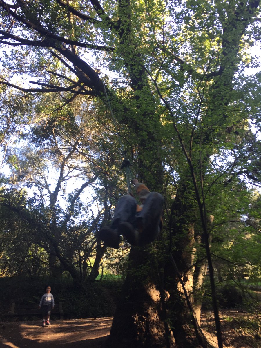 Berkeley_Forest tweet picture