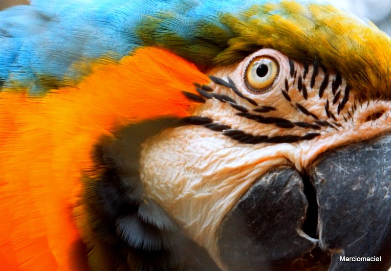 Recalling a look ...