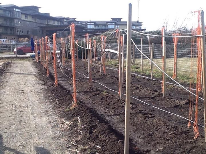 KitsDaily's tweet image. T’was a great day in West Bank!