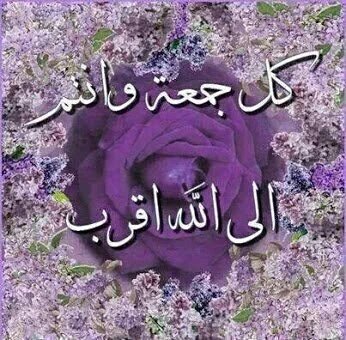 الشيخة سارة ال ثاني (@22_ababa) on Twitter photo 