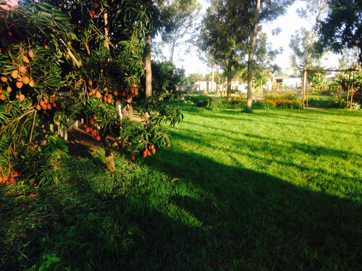 Nature in its most blatant self and the birds are the welcoming committee for this spot...