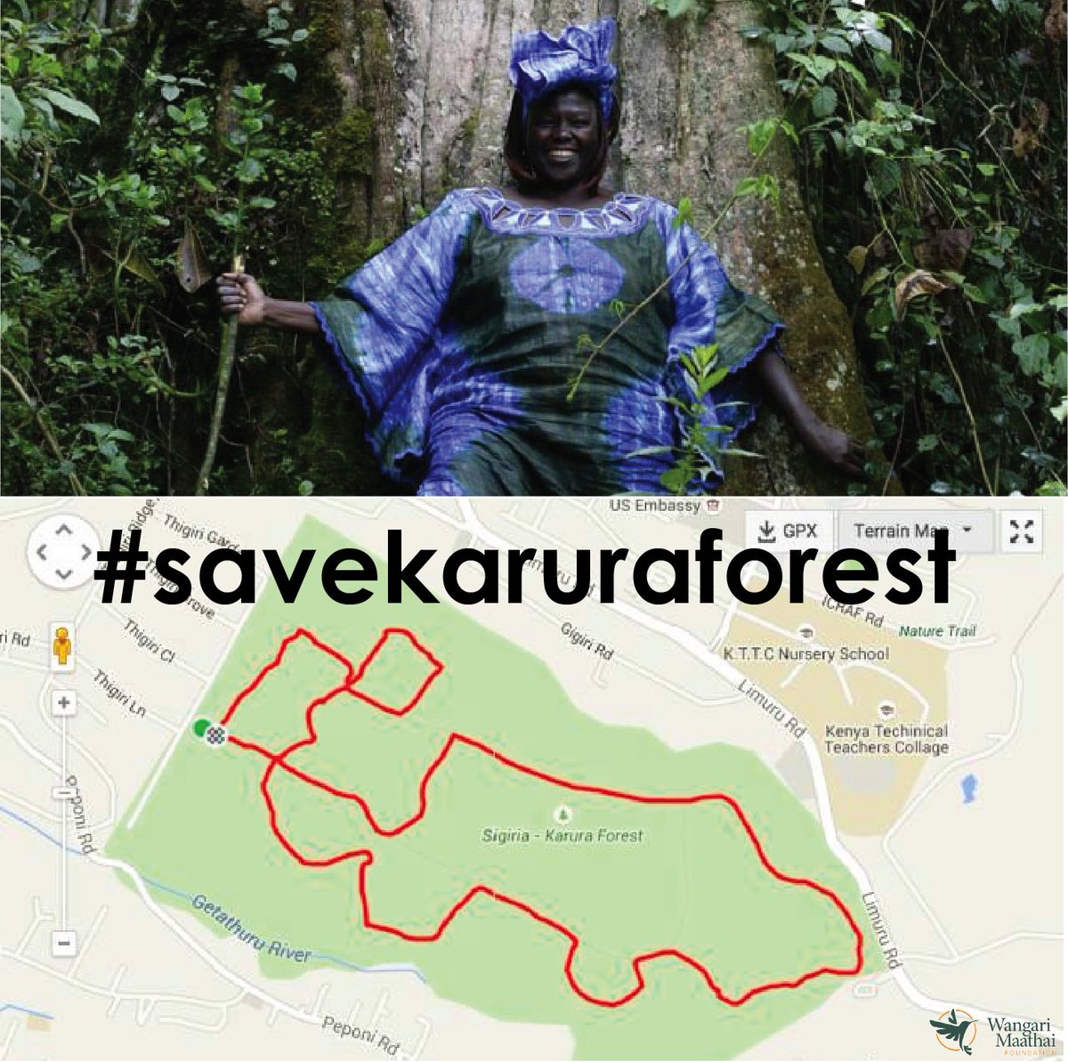 WangariMaathai's tweet photo. #SaveKaruraForest by signing this petition. Please RT! https://t.co/jN0voeYPCV https://t.co/jjingSDycb