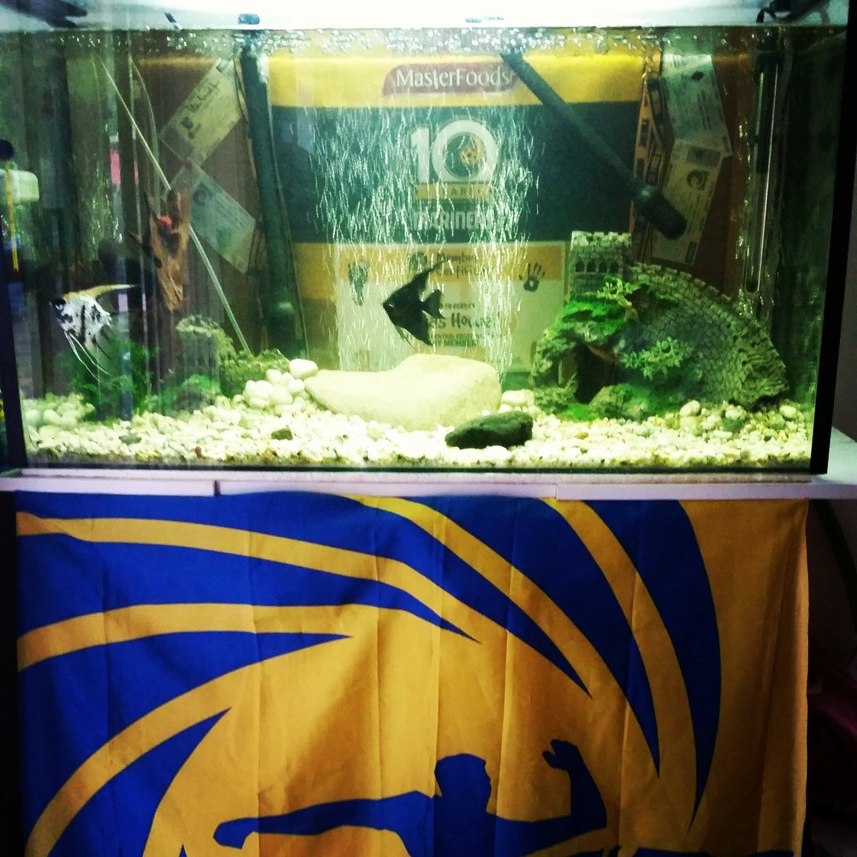 80Howell's tweet image. 