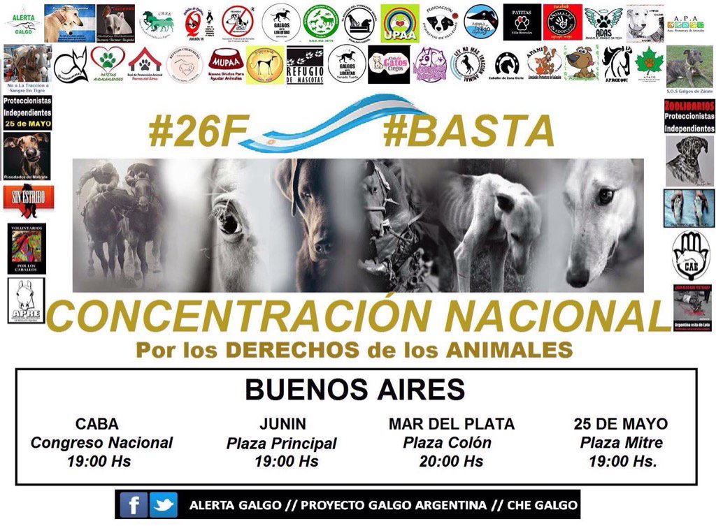 luispineyro's tweet photo. 26 de Febrero, Concentración Nacional x los Derechos de los Animales https://t.co/wVt33mciir