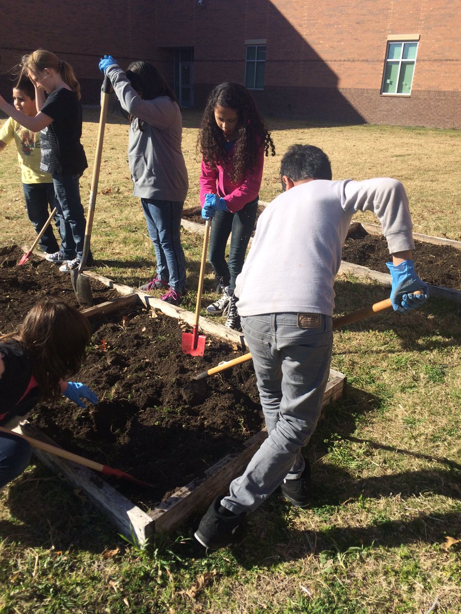 mendenhall2nd's tweet photo. Mendenhall Environmental Club worked hard finalizing the beds for planting! #mendenhalllearns https://t.co/dEcig0F8WU