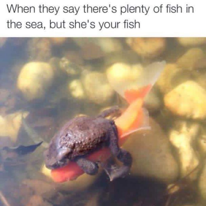 🐠💚💙 https://t.co/gKdYSjPzuD<a href="/tag/hitthespot"class="tags"><span>#hitthespot</span></a>