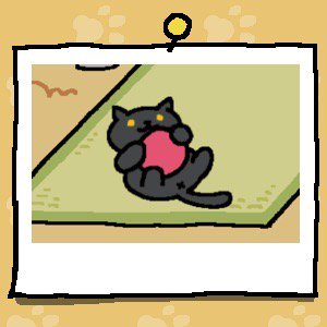 #ねこあつめ