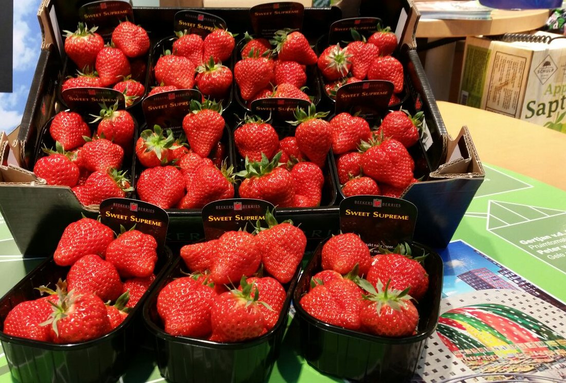 De lekkerste aardbei van Nederland: de Lambada <a href="/aardbei/">aardbei</a>! Verkrijgbaar bij ons paviljoen @indeMarkthal!