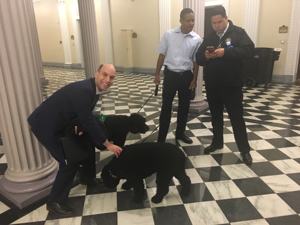 footballmom21's tweet image. My son was at the White House today. #proudmommoment #firstdogs #boandsunny #whitehouseprecisionmedicinesummit
