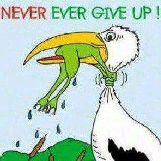 omar yusufu (@omaryusufu99) on Twitter photo 