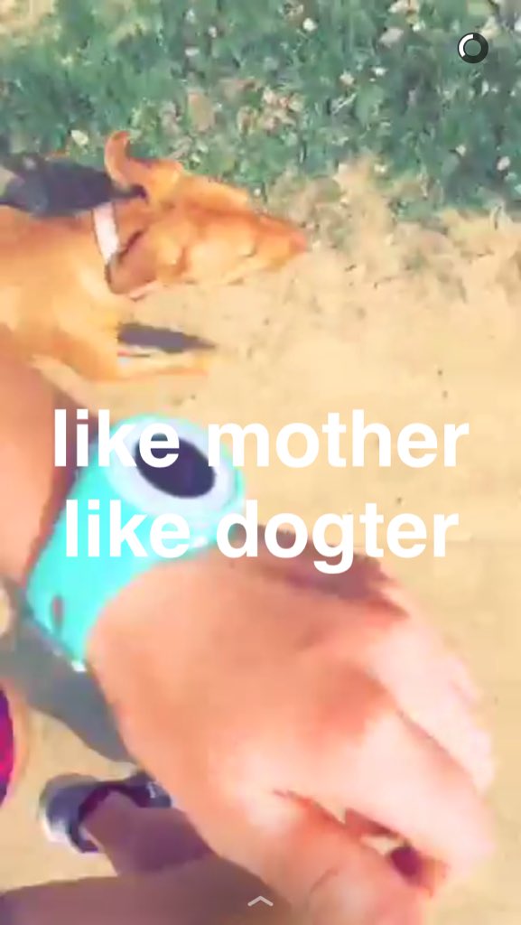 kjramming's tweet photo. When you and bae post matching snapstories running with puppers 👩‍❤️‍👩 https://t.co/6xfCQQa1xh