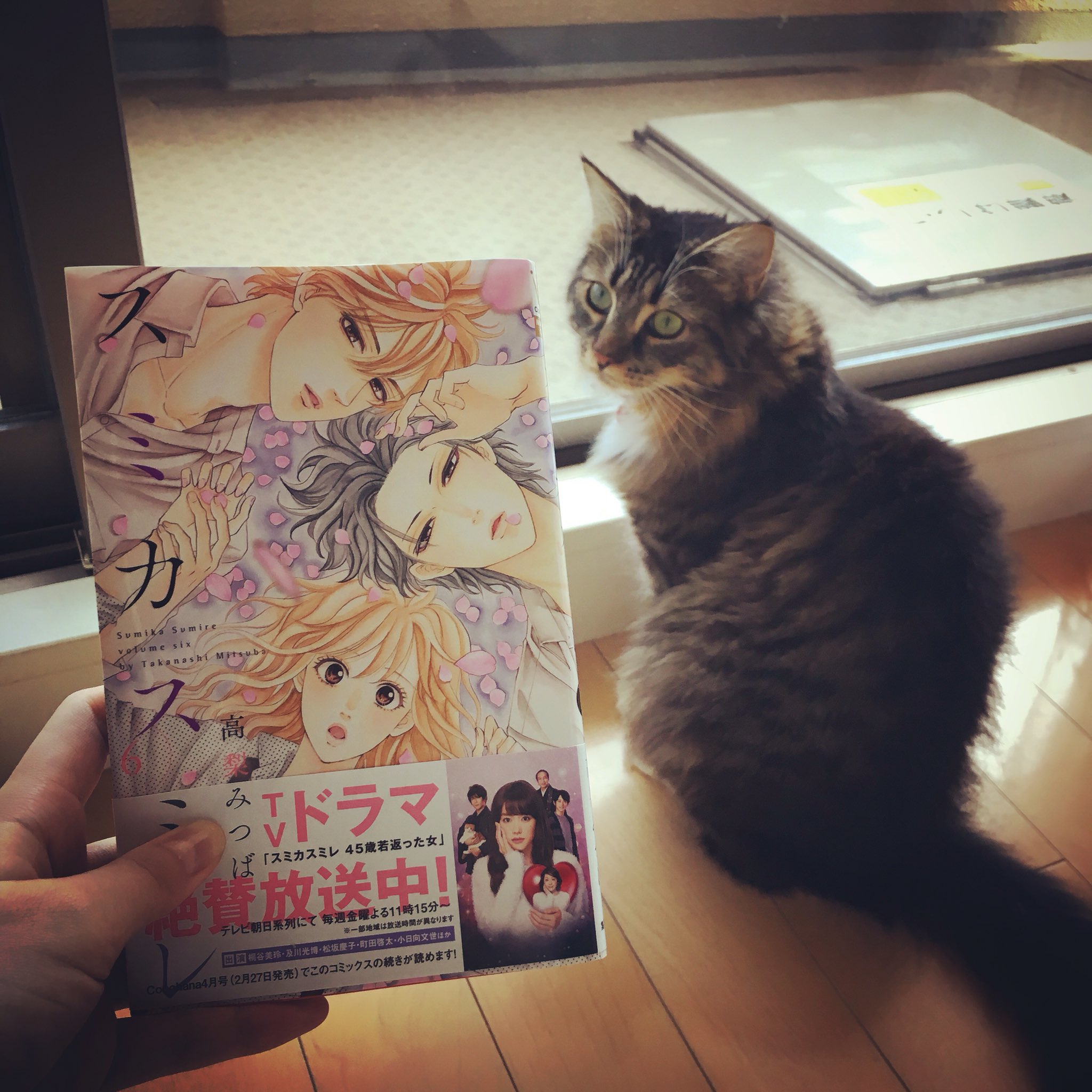 小池里奈 Twitter પર やっとこget スミカスミレ6巻 表紙とっても好き 我が家のルルちゃんと スミカスミレ T Co Hzqby3zqbd Twitter