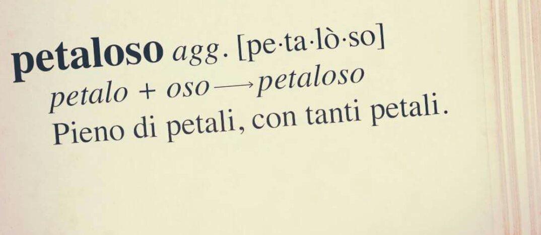 silvia_falanga's tweet photo. #petaloso https://t.co/AtTVk0I5cf