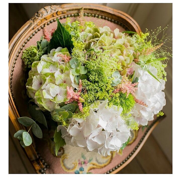 SamRFranco's tweet photo. RT https://t.co/JLNf27I4qD Amy's gorgeous summer hydrangea #bridalbouquet #taitlandswedding nicoladenbyphotograph… https://t.co/yz8AyB8HkS