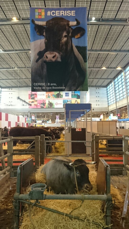 #SIA2016 Bonjour Paris ! Je vous attends avec impatience (et avec quelques copines) sur le salon: Rdv Pavillon 1