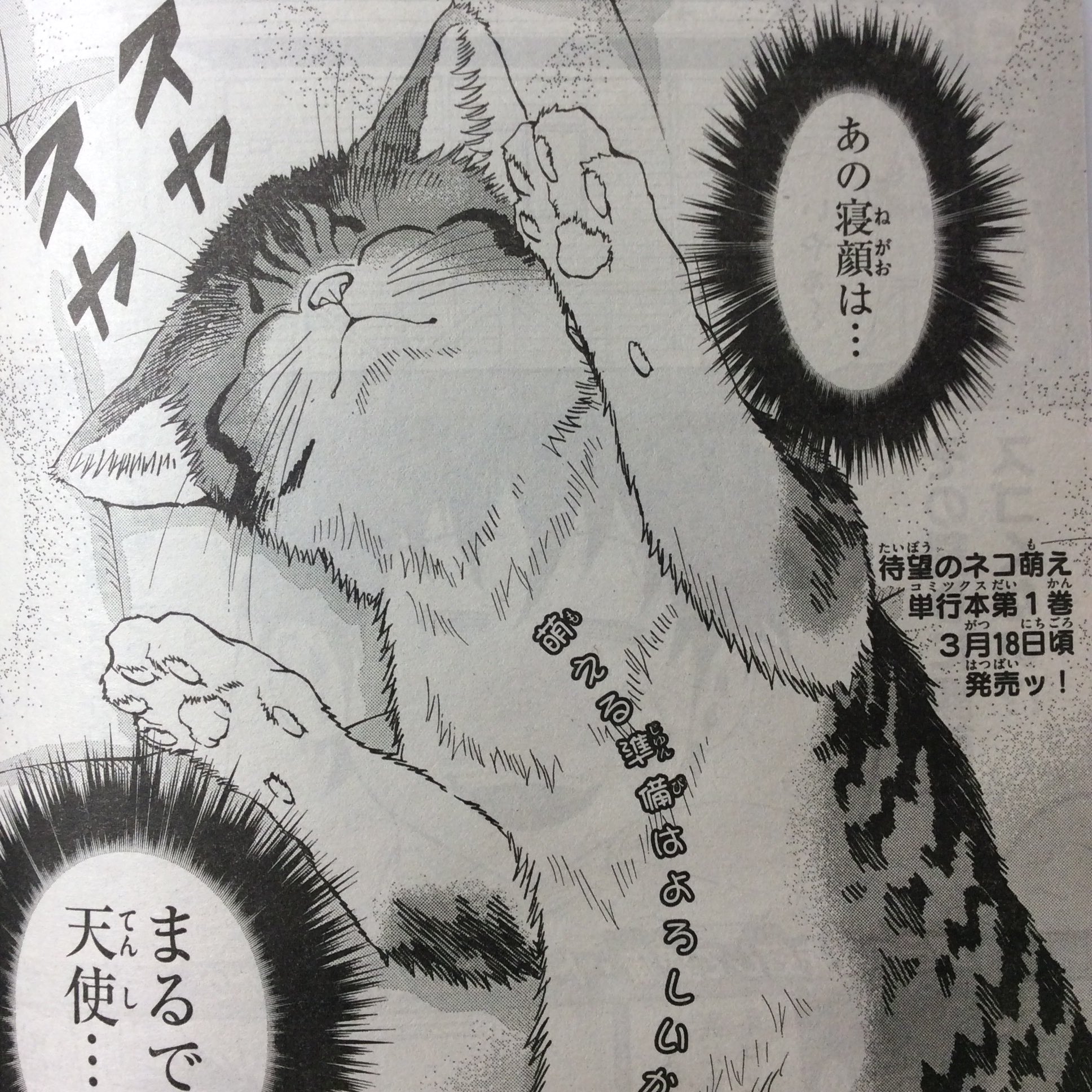 O Xrhsths 灘谷航 猫暮らしのゲーマーさん 1 6巻発売中 Sto Twitter サンデーs 最新号に ねこったけ 5話目載ってます よろしくお願いします T Co Vck77j2hql O Xrhsths 灘谷航 猫暮らしのゲーマーさん 1 6巻発売中 Sto Twitter サンデーs 最新号に ねこったけ 5話目載ってます よろしくお願いします T Co Vck77j2hql
