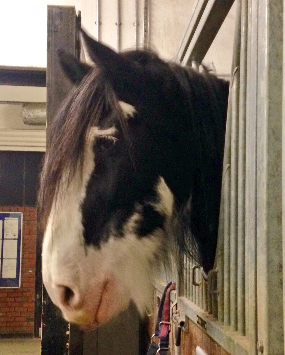 Thanks @HCMRegt for use of barracks & wonderful tours: party great success thanks to you. #Drumhorses stole the show