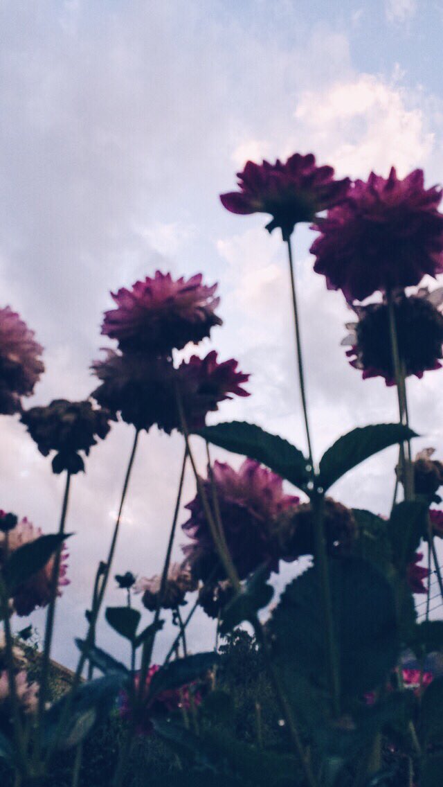 emsyarns's tweet photo. Post down-pour π§πΈ
#picturesforconnor https://t.co/s1IMWCY6bW