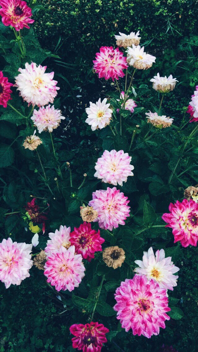 emsyarns's tweet photo. Post down-pour π§πΈ
#picturesforconnor https://t.co/s1IMWCY6bW