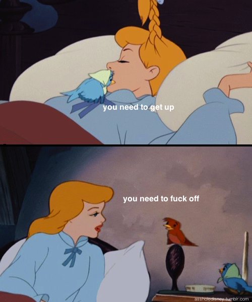 me vs. the cat, every morning around 4AM