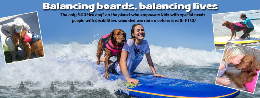 funygirll's tweet photo. Pls give a "like" to @SurfDogRicochet FB https://t.co/0Q1Bwjqgfm &amp; #Share <3 #Dogs #Kindness #Veterans #PayItForward https://t.co/mzPiAc0JsA