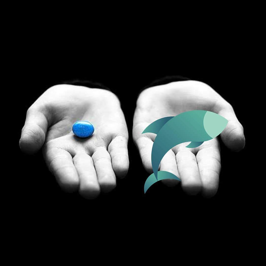 PhishX's tweet photo. You can take the blue pill and hope for the best. Or you can take @PhishX Knowledge Pill and fight against #phishing https://t.co/TJcDQ7x43p
