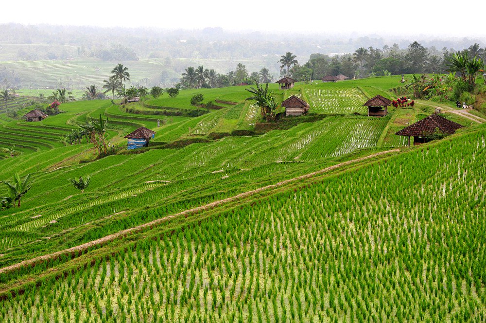 DesignClaud's tweet image. Creative Workshops in Bali - Indonesia With Locals! Inspiration for a trip to Bali.… designclaud.com/creative-works…