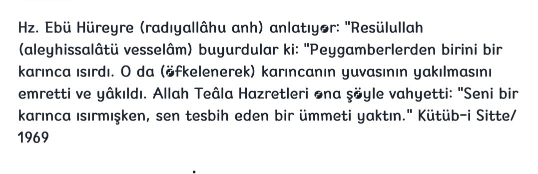5e50com's tweet photo. #rahmet #merhamet #islam #hadis https://t.co/NA17V5KATe