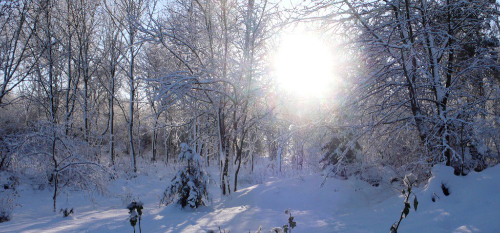 Ulla Bruun (@ullabruun) on Twitter photo 