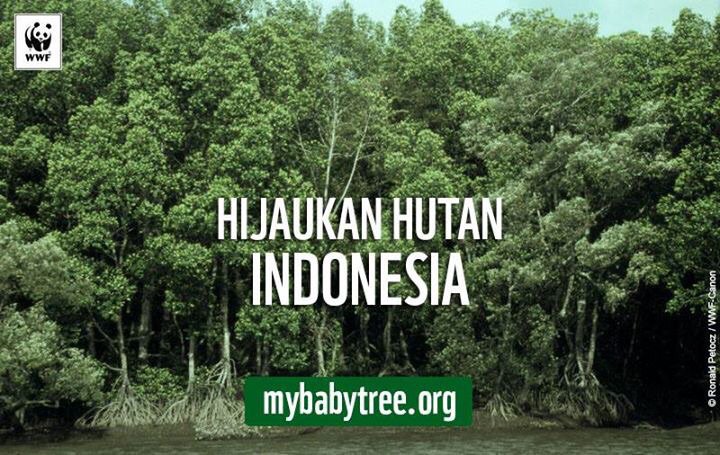 WWF_ID's tweet photo. Mari, berkontribusi hijaukan hutan Indonesia dengan menanam pohon di https://t.co/bgsH9A0tQi https://t.co/E9FshimE2d