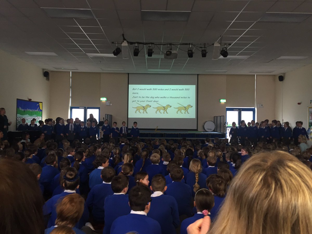 wvhtlucy's tweet photo. What a fab morning yr 3 assembly @BextonPrimary raising ££ for @guidedogs feeling v proud of my 2 kiddies 💖 https://t.co/L6vpcdhrH5