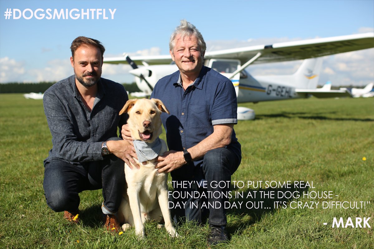 oxfordsf's tweet image. .@MarkVetteDogZen's words of waggy-tailed wisdom. #DogsMightFly: 2 days to go! Sunday at 7pm on @sky1.