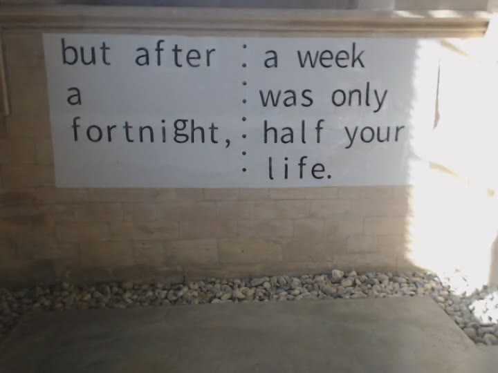TimeSpeedsUp's tweet photo. Internet years are like dog years so 1 Net yr=7 yrs IRL. A generation IRL is 21 yrs so a Net generation =3 yrs IRL https://t.co/MUjOB2AwLX