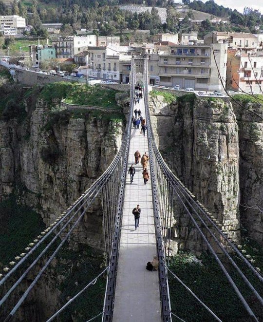 مدينة الجسور المعلقة و مدينة العلم و العلماء 
ولاية قسنطينة 

#بلادي_الجزائر
#اكتشف_الجزائر
#السياحة_في_الجزائر