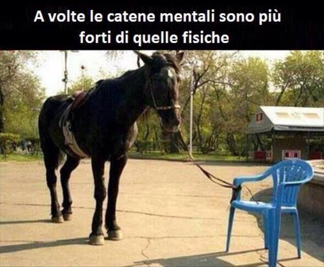 BlablablaBloggo's tweet photo. #odiando ogni tipo di limite che non ci rende protagonisti della nostra stessa vita penso #seguiilcuore #sii felice https://t.co/T7ghbVHSed
