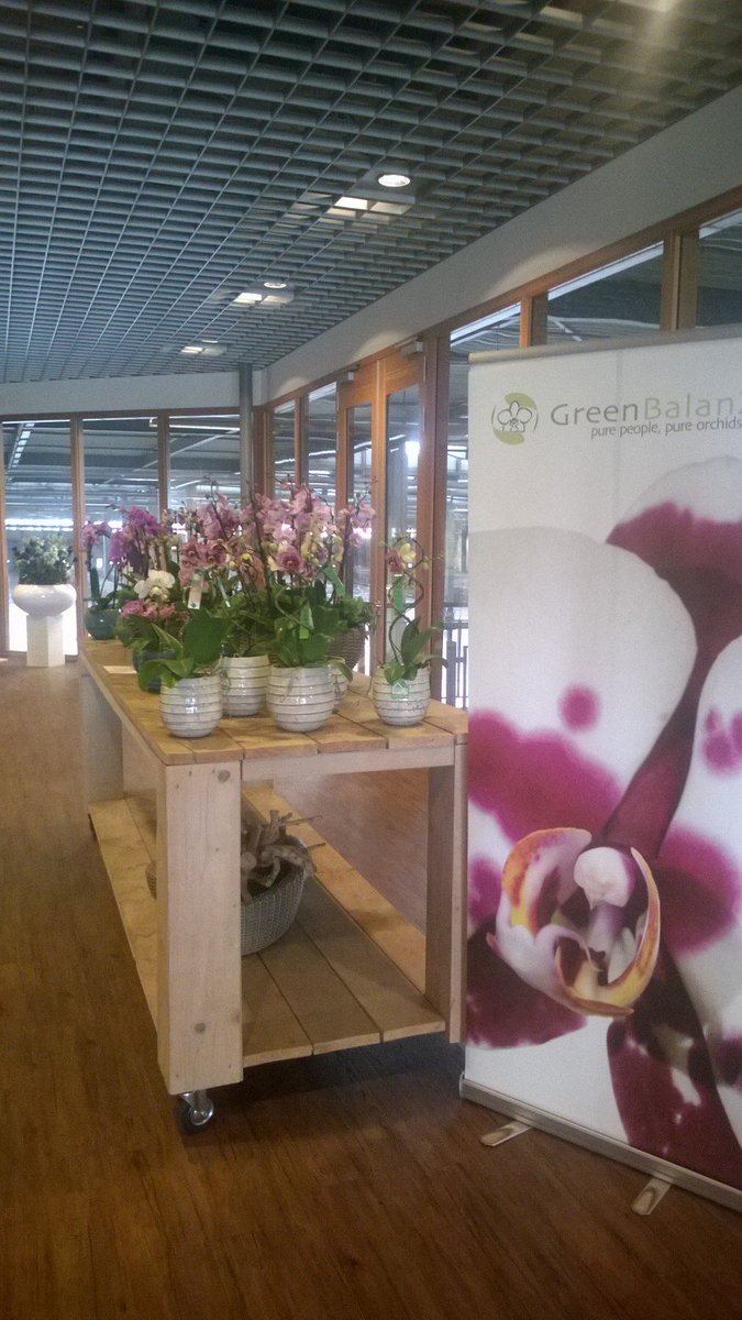 Nog steeds een prachtige presentatie van #Orchideeën van <a href="/LGreenBalanZ/">Lennard GreenBalanZ</a> bij <a href="/Plantion/">Plantion</a>.