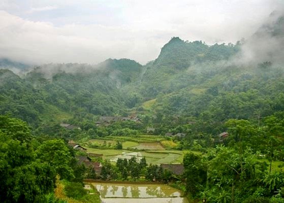TheLandAlliance's tweet photo. Researchers discuss ways #landscapes can be ‘climate proofed’ https://t.co/VuIhfFxqgr #REDD+ #APFW2016 https://t.co/OComH3outG